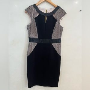 JAX Black Midi Dress with Nude Fishnet and Leather Detailing Size 10